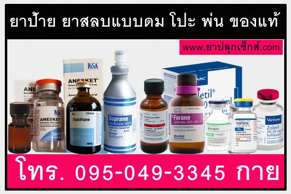 ยาสลบแบบดมโปะพ่นรับประกันผล